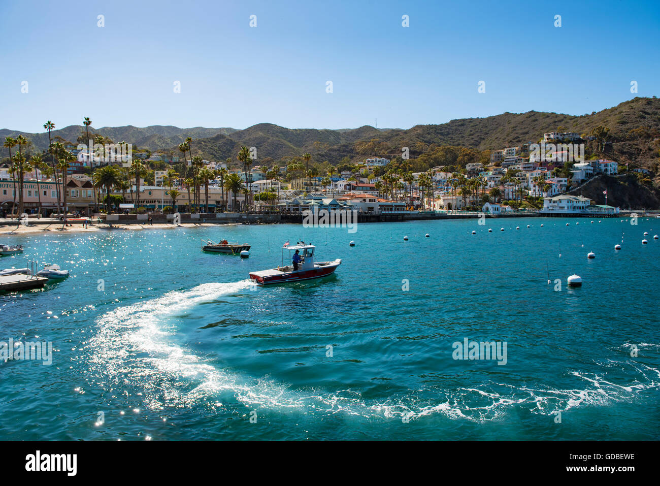 La baia di Avalon sull isola di Santa Catalina off Los Angeles, CA, Stati Uniti d'America Foto Stock