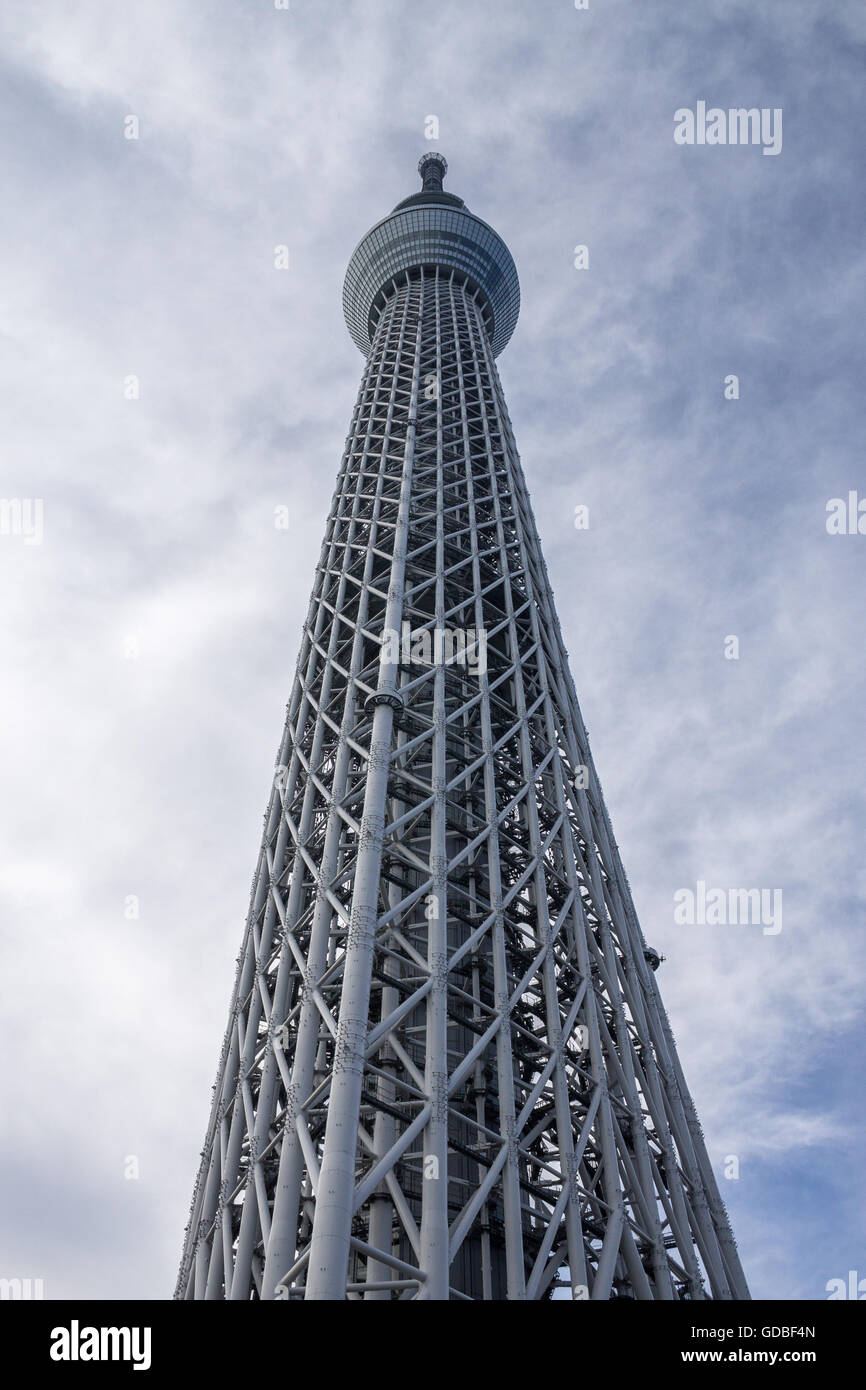 La Tokyo SkyTree è la torre più alto del mondo e il più alto edificio in Giappone. Foto Stock