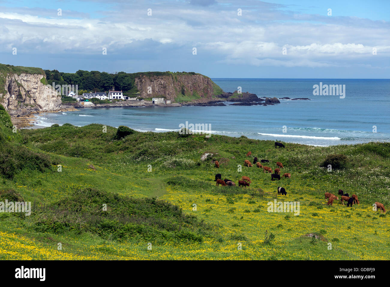 White Park Bay vicino a Ballycastle, County Antrim sulla costa nord dell'Irlanda del Nord. Foto Stock