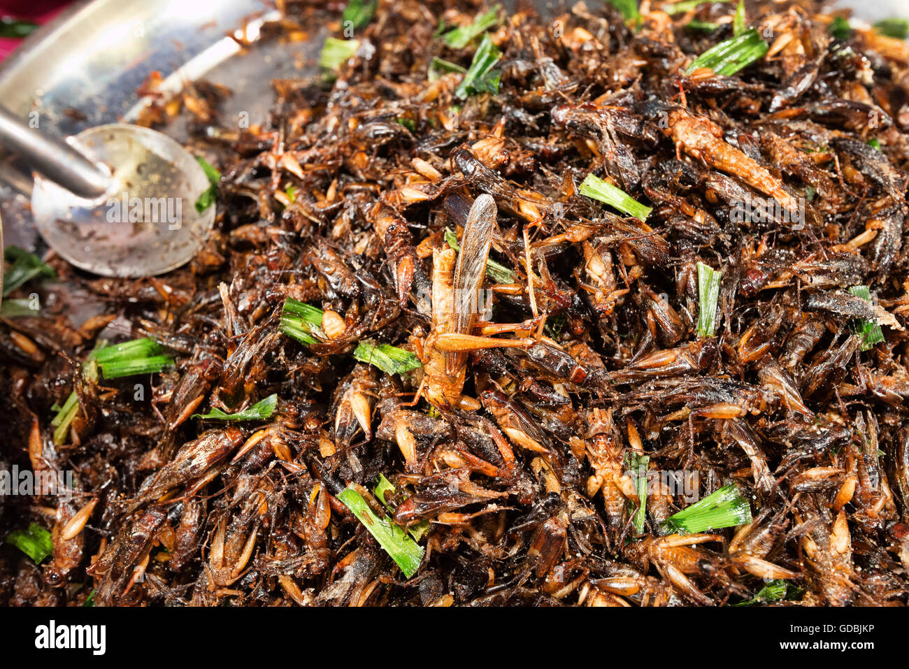 Stand gastronomici e i ristoranti che vendono gli insetti, Bangkok, Thailandia. Foto Stock