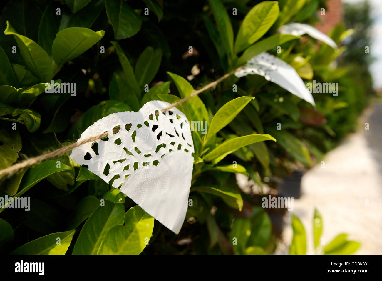 Il decoro ad un ricevimento di nozze Foto Stock
