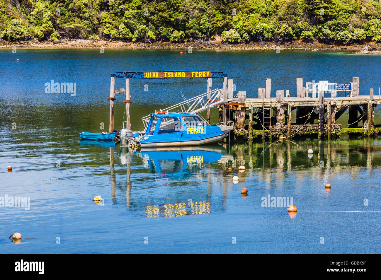 La nuova Zelanda, l'isola di Stewart, Golden Bay, Ulva Island Ferry porto: 16 Febbraio 2016 Foto Stock