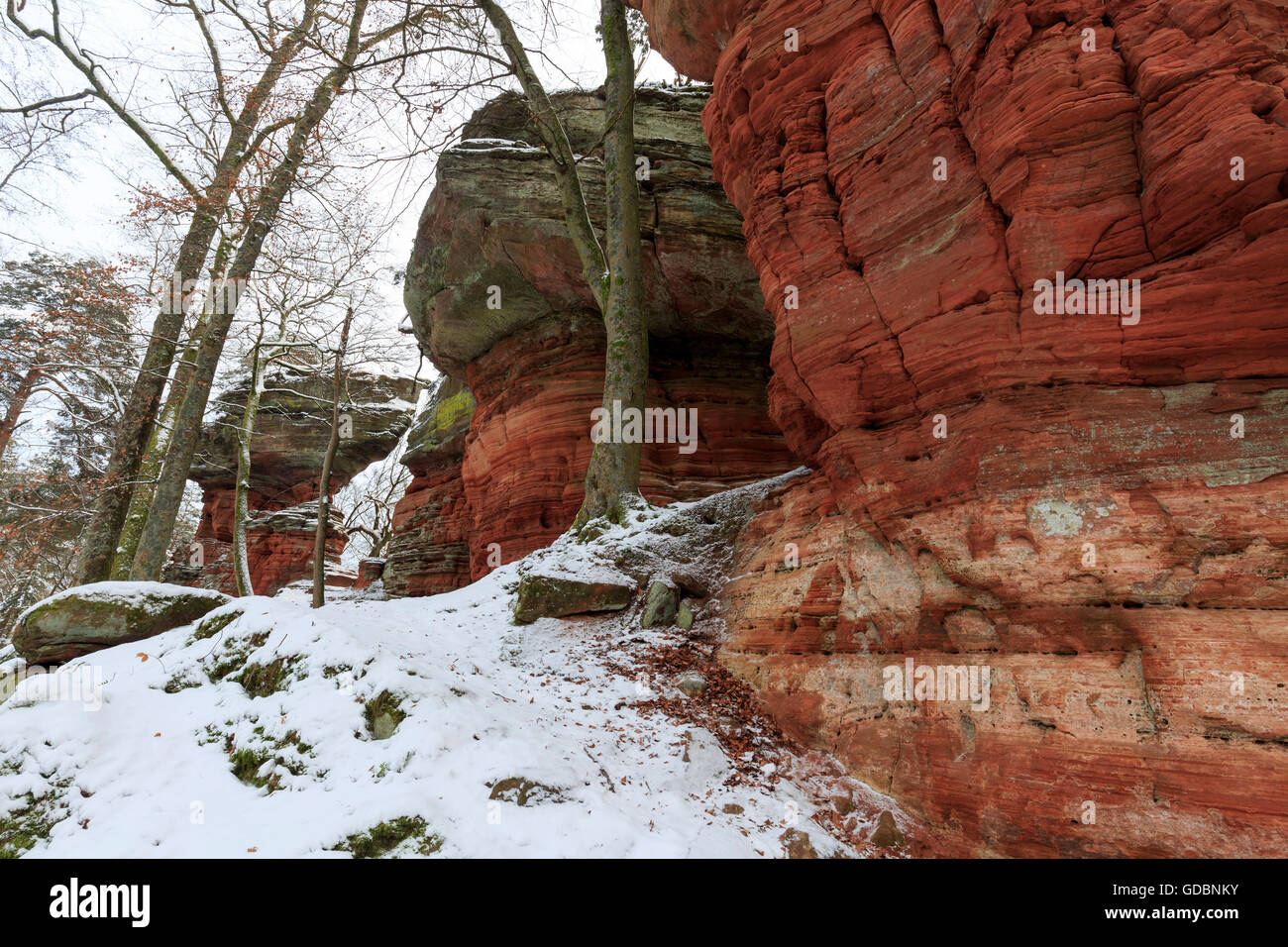 Monumento Naturale, inverno, Altschlossfelsen, Eppenbrunn, Renania-Palatinato, Germania Foto Stock