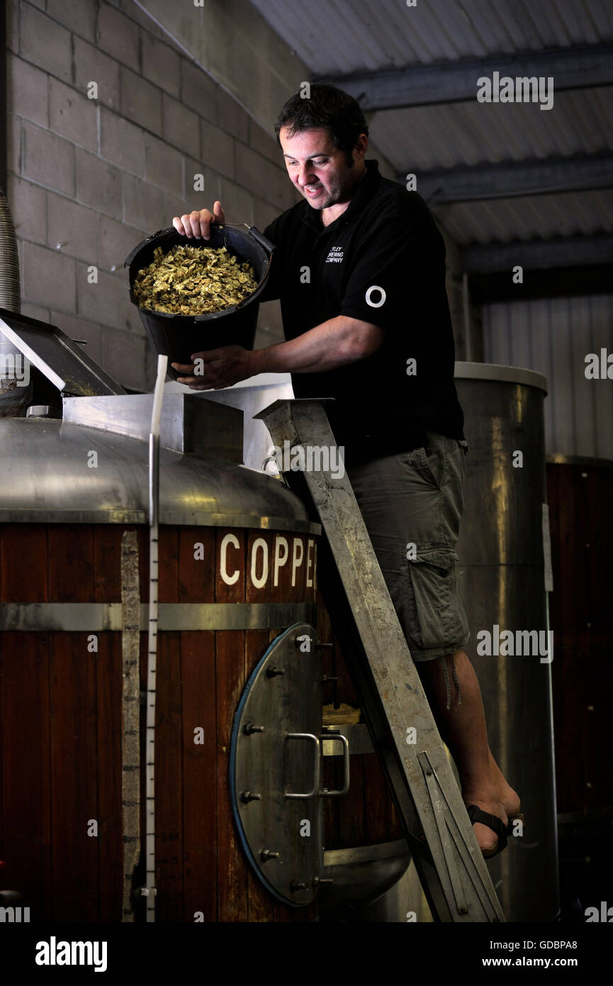 Nick Otley, MD di Otley Brewing Company in Cilfynydd vicino a Pontypridd, Galles il ribaltamento di luppolo nel rame REGNO UNITO Foto Stock