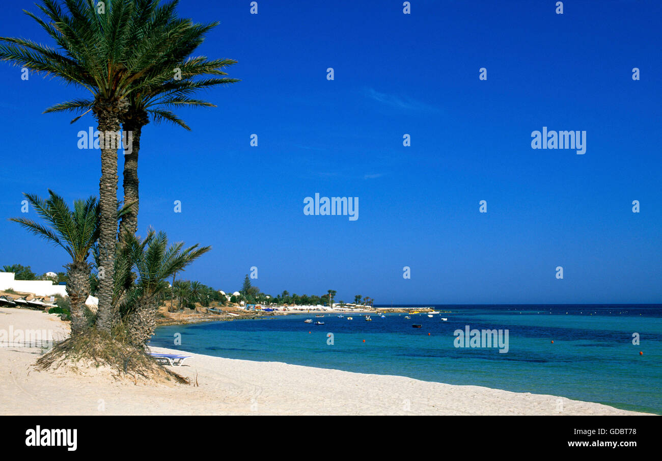 Seguia spiaggia, isola di Djerba, Tunisia Foto Stock