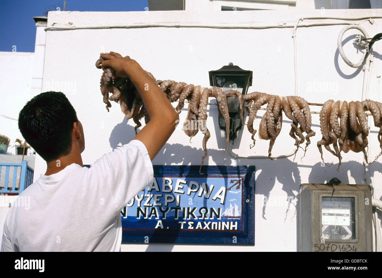 Calamari, taverna, Naoussa, isola di Paros, Cicladi Grecia Foto Stock