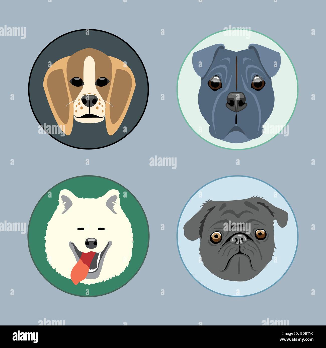 Set di cani di tipo piatto. Husky, rottweiler, taxa, Vittoriano. Digital immagine vettoriale Illustrazione Vettoriale