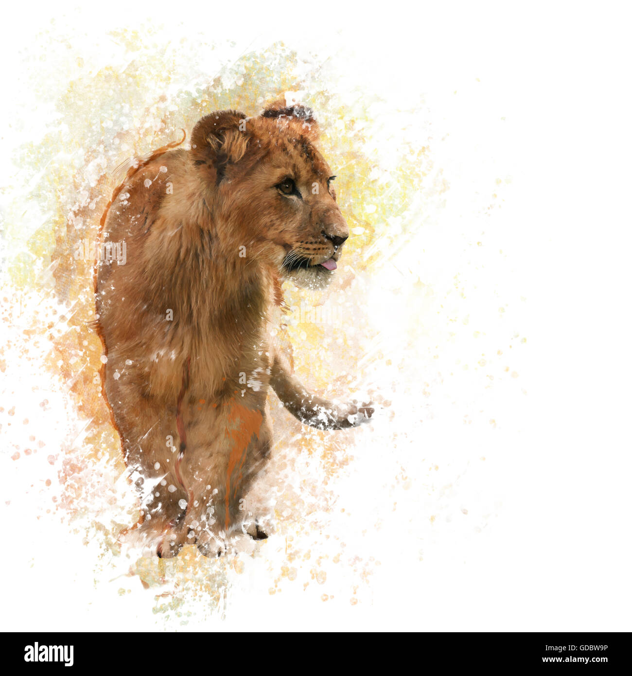 La pittura digitale di Lion Cub Foto Stock