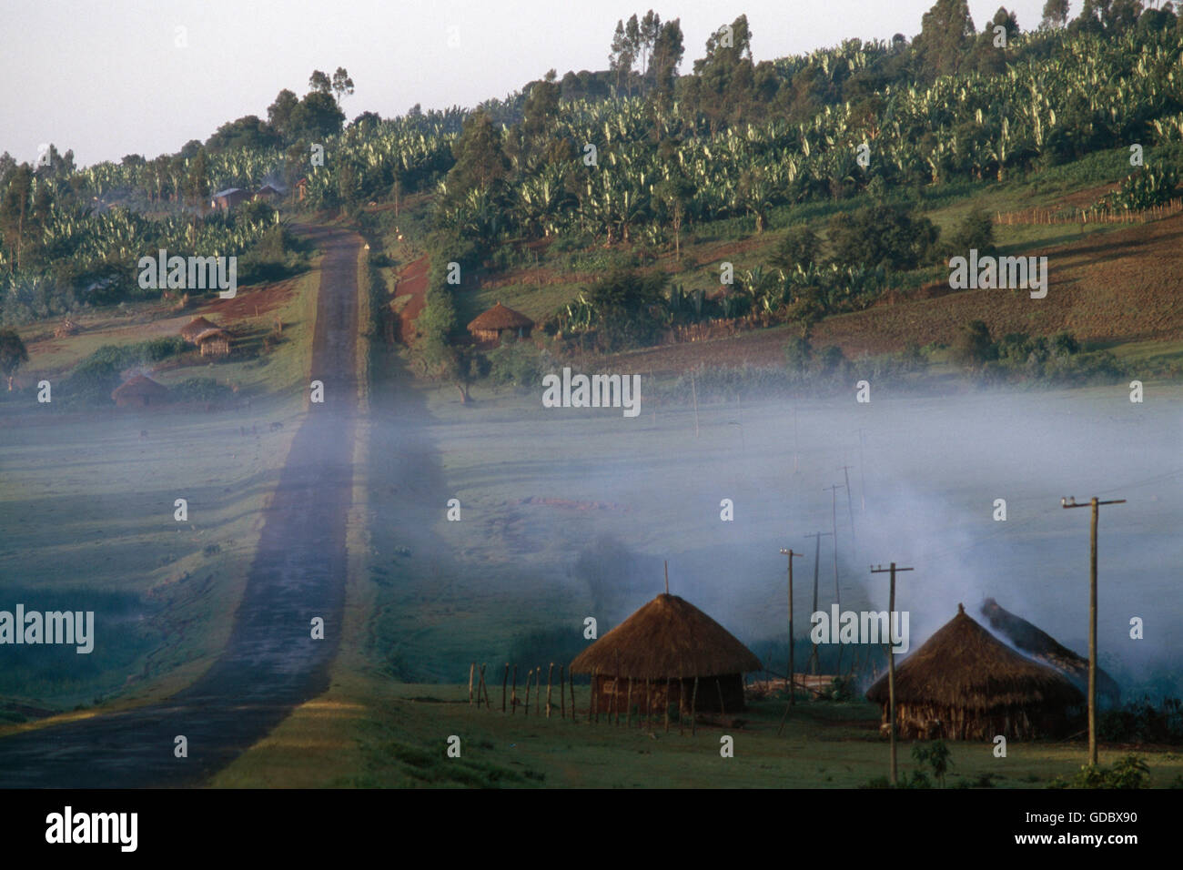 Villaggio nelle vicinanze Awasa, altopiani, Etiopia Foto Stock