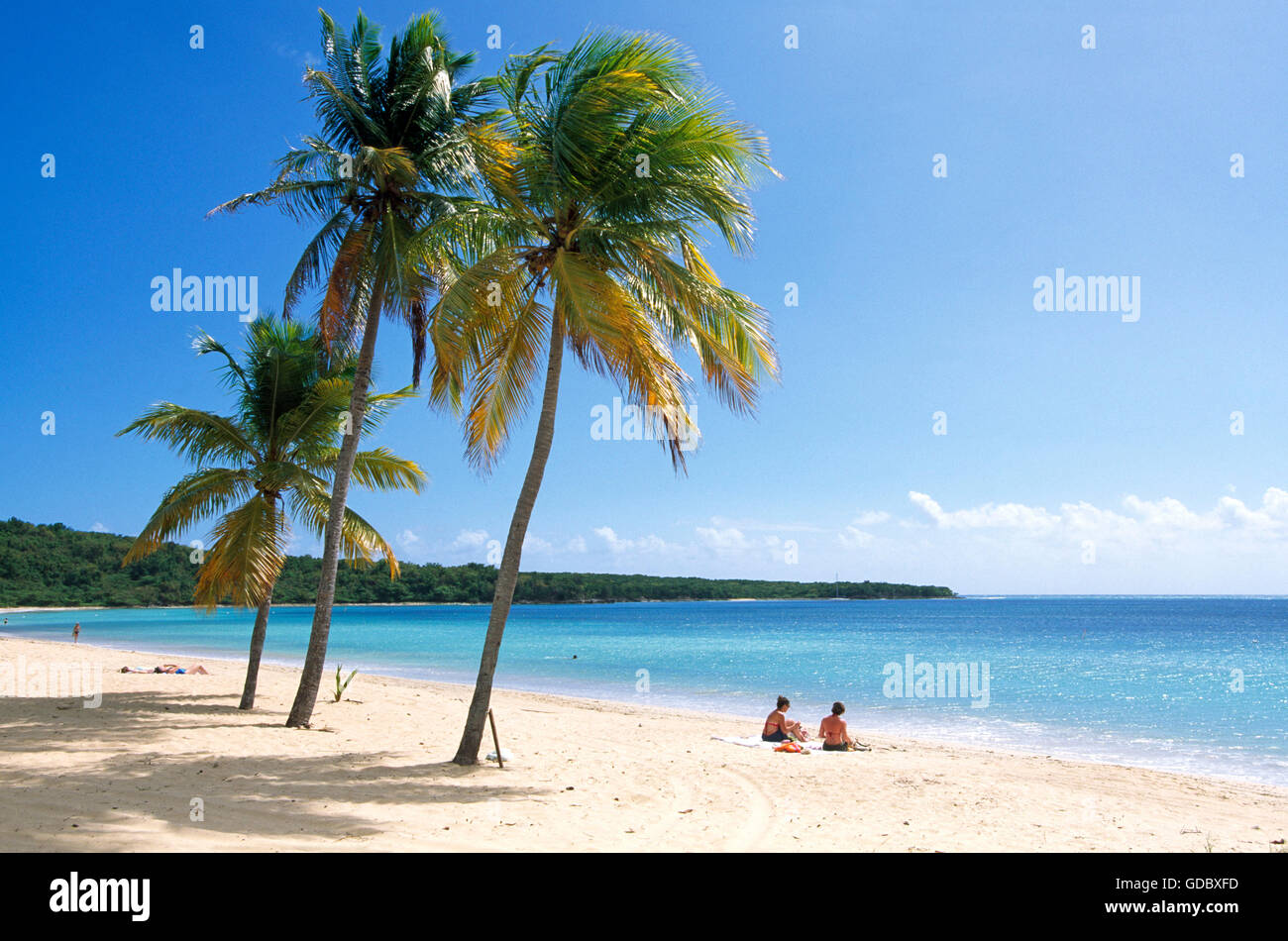 Beach sull'isola di Vieques, Puerto Rico e dei Caraibi Foto Stock