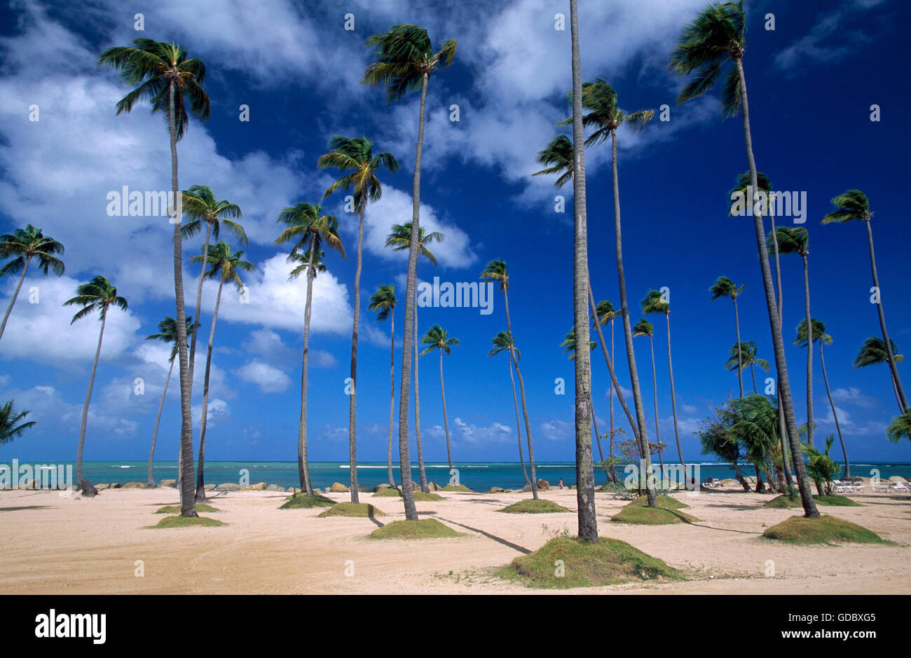 Coco Beach, Rio Grande, Puerto Rico e dei Caraibi Foto Stock