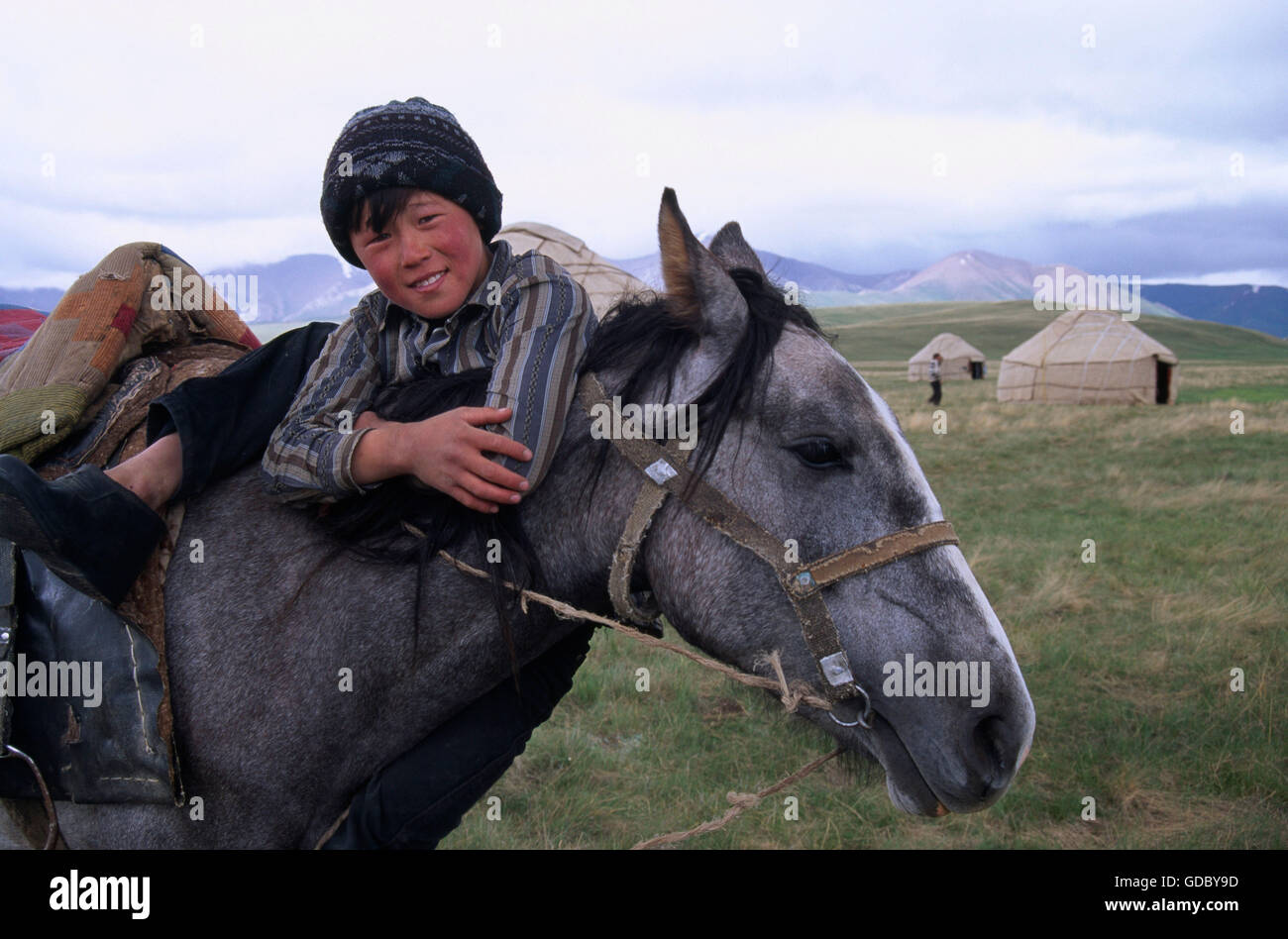 Ragazzo a cavallo, Moldo troppo gamma, Lago Song-Kul, Kirgizia Foto Stock