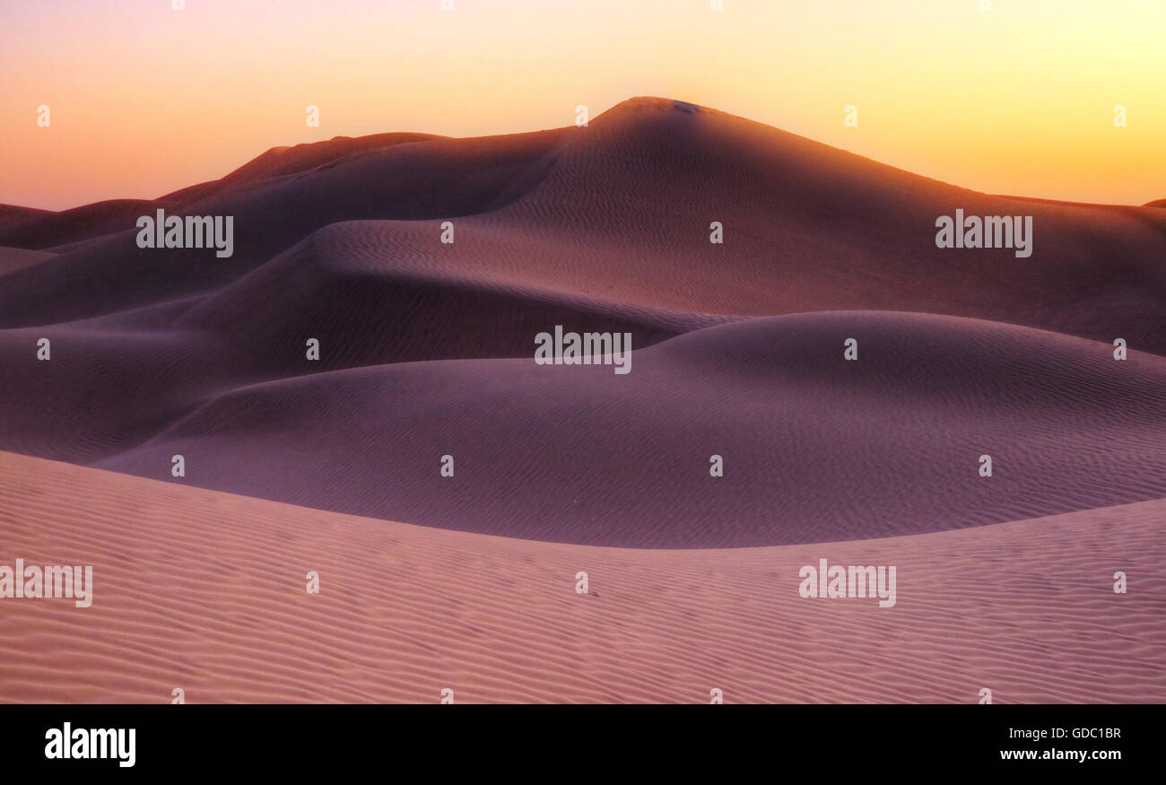 Dune di sabbia,Oman,Rub al Khali Foto Stock