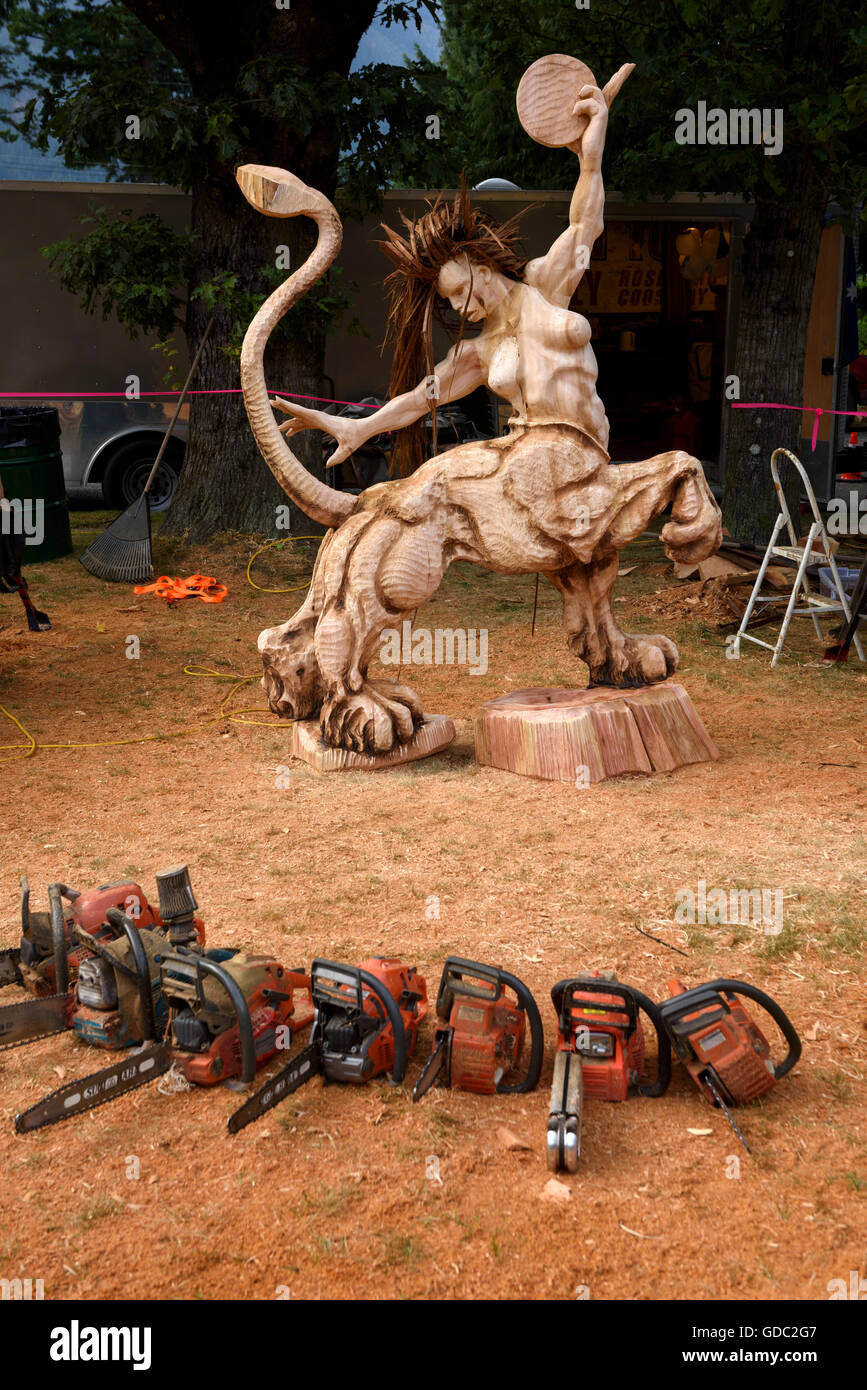 Chainsaw Festival Foto Stock