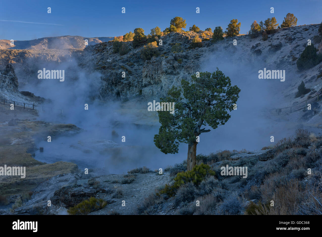 Stati Uniti d'America,California,Sierra orientale,Mammoth Lakes,Hot Creek Foto Stock