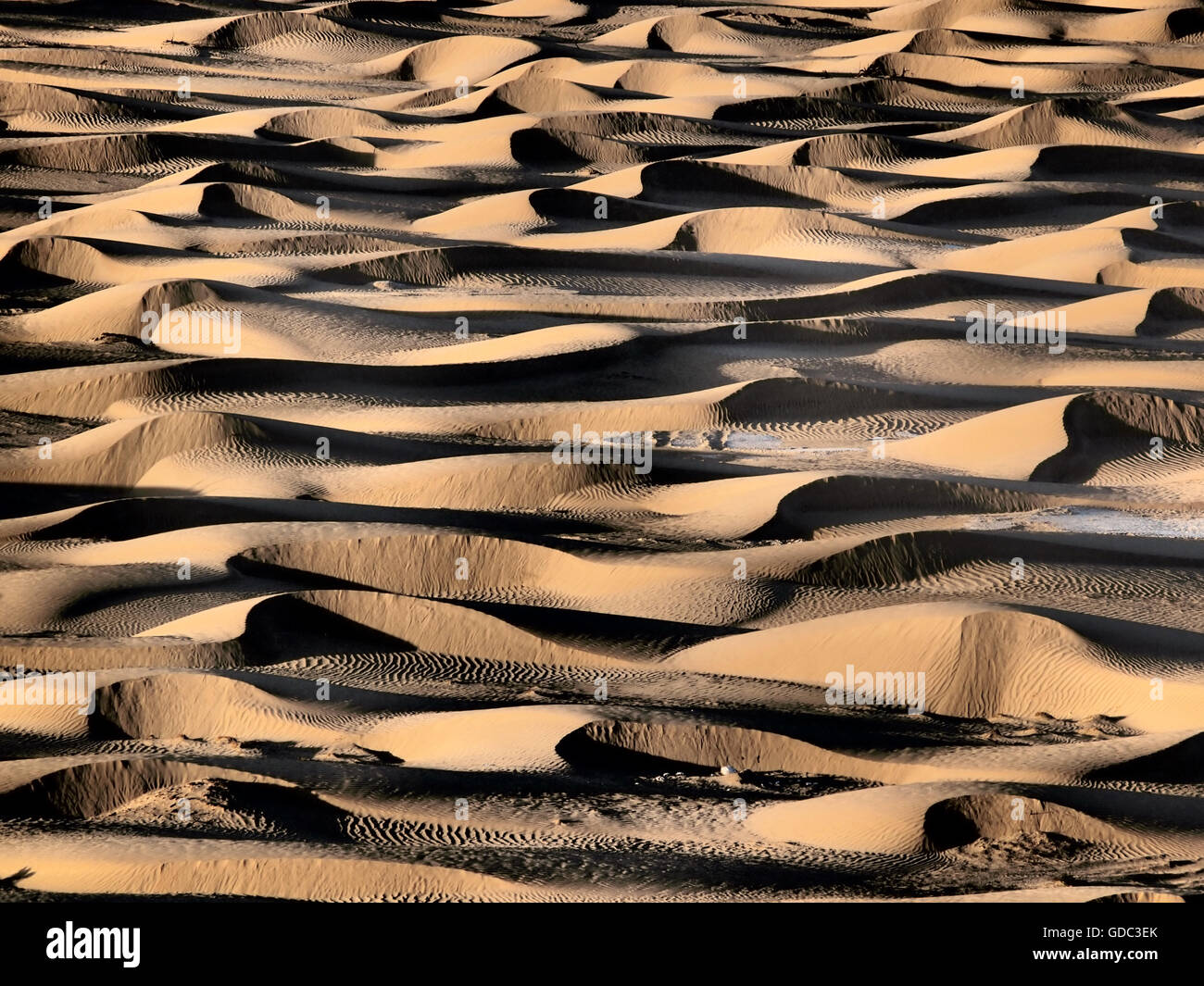 Dune di sabbia,Oman,Rub al Khali Foto Stock