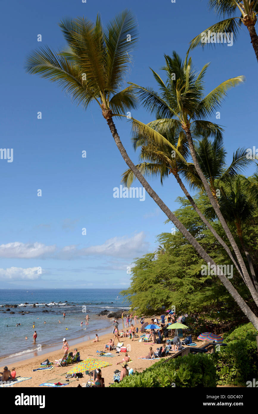 Stati Uniti d'America,Vereinigte Staaten,Amerika,,Hawaii Maui,persone sulla spiaggia Foto Stock