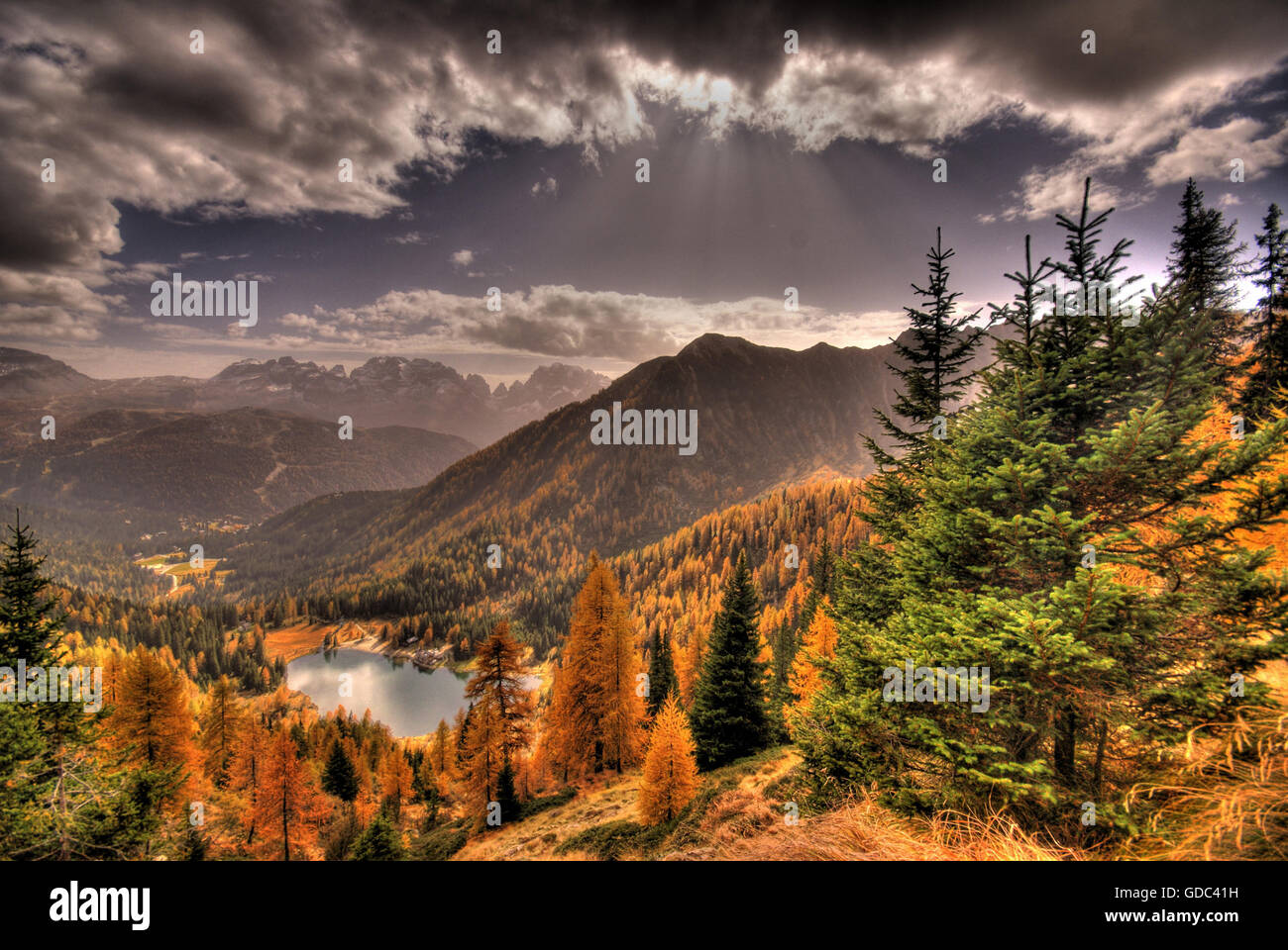 Adamello,Parco Nazionale,Brenta,Sud Tirol,l'Italia,autunno,larici,giallo larici,montagna,paesaggio, paesaggio,autunno umore Foto Stock