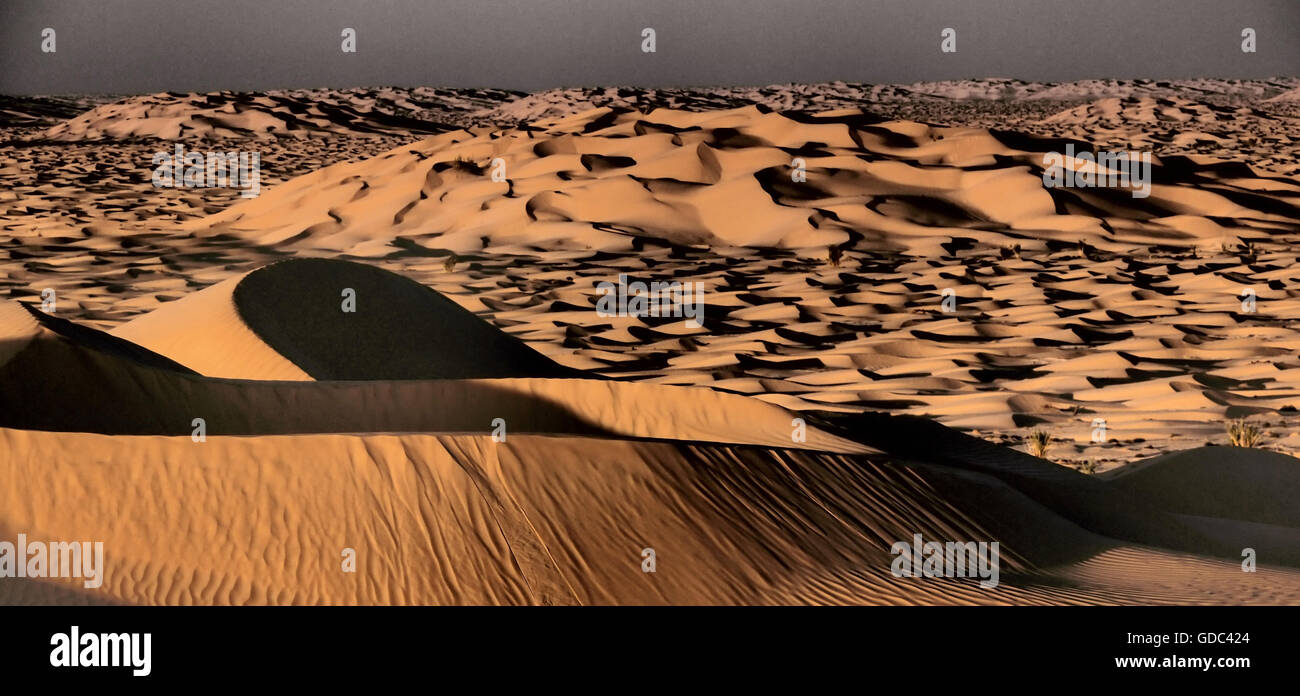 Dune di sabbia,Oman,Rub al Khali Foto Stock