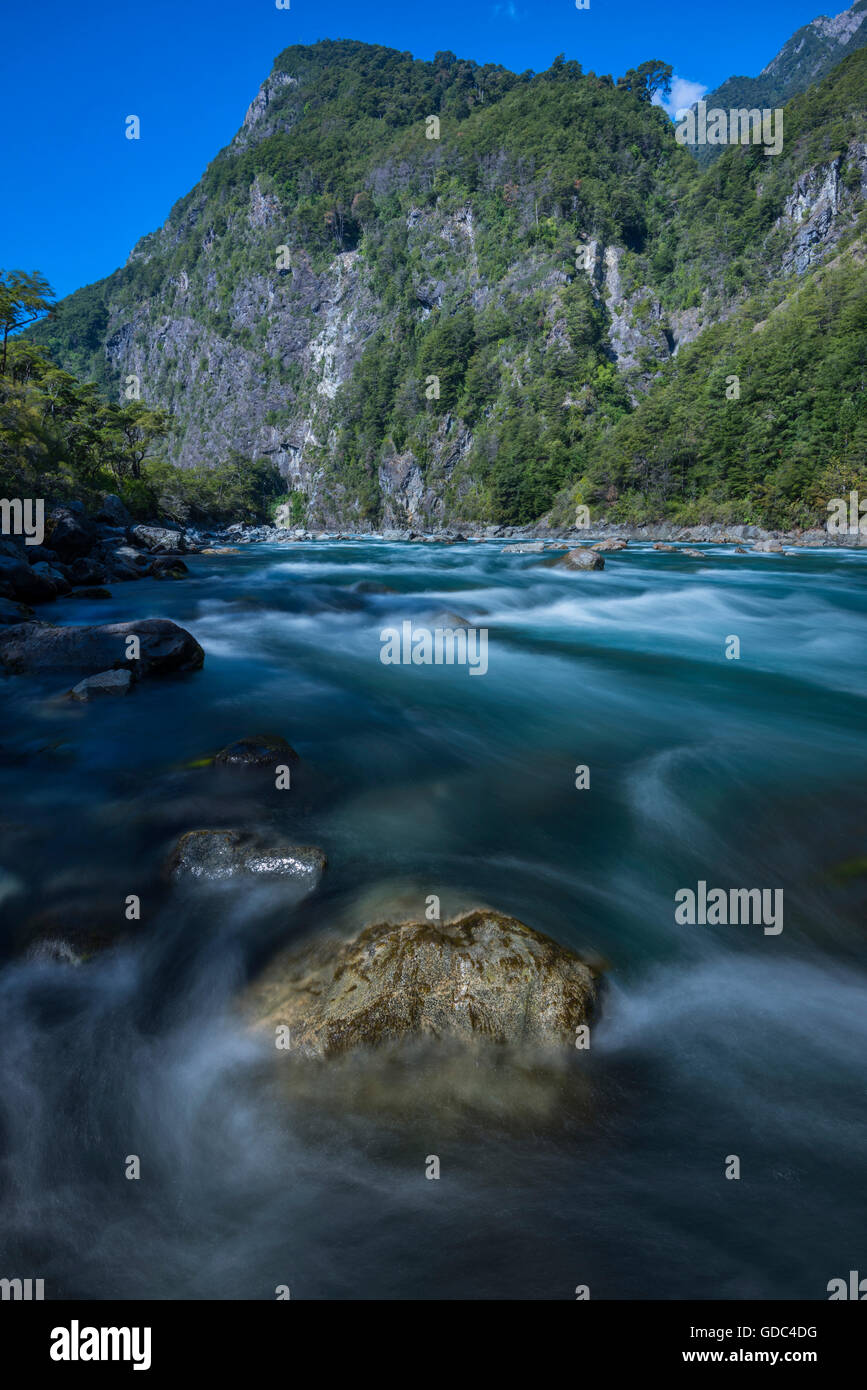 Sud America,Cile,Lake District,Patagonia,Puerto Varas,Rio Petrohue,Perez Rosales,Parco Nazionale Foto Stock