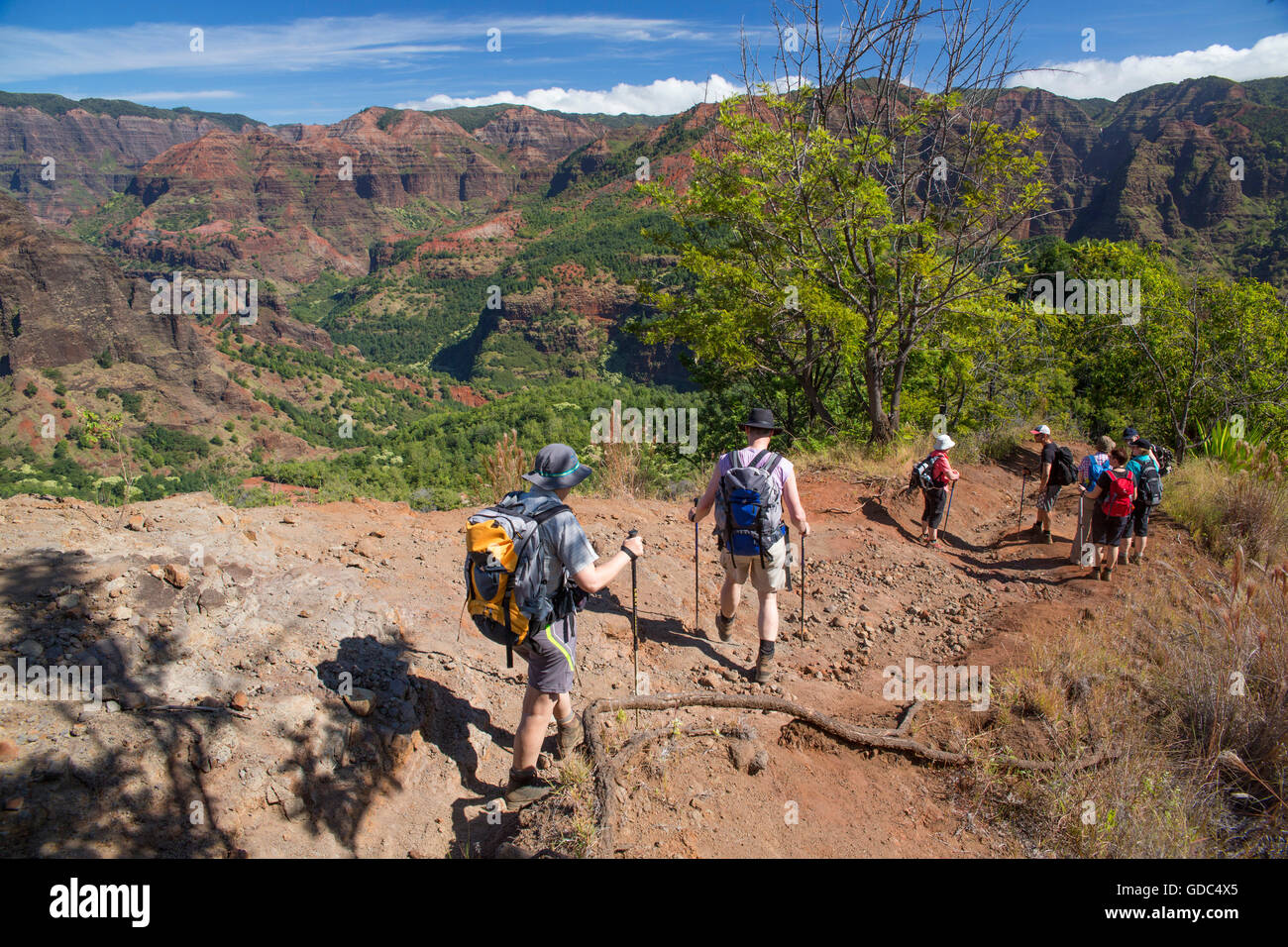 Kauai,trekking,,Waimea Canyon,STATI UNITI D'AMERICA,Hawaii,l'America,sentiero,escursionismo, Foto Stock