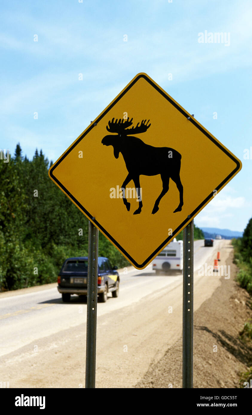 Cartello stradale con le alci, ALASKA Foto Stock