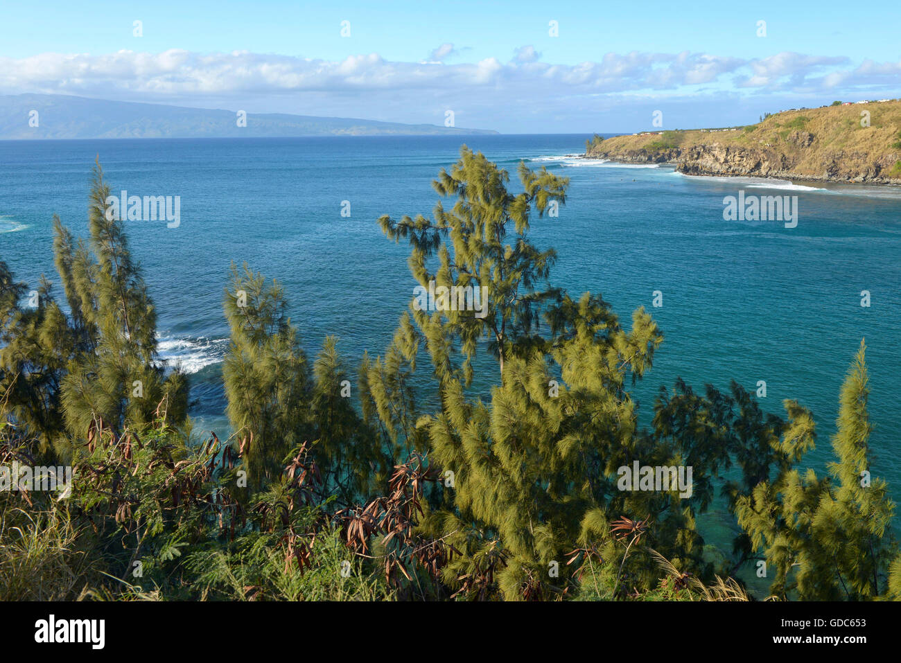 Stati Uniti d'America,Vereinigte Staaten,Amerika,Hawaii,,Maui Kaanapali,costa vicino a Kapalua Foto Stock