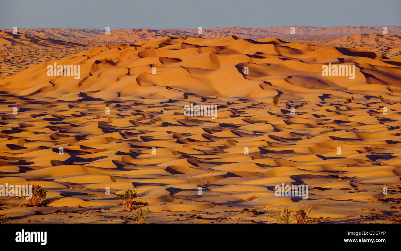 Dune di sabbia,Oman,Rub al Khali Foto Stock
