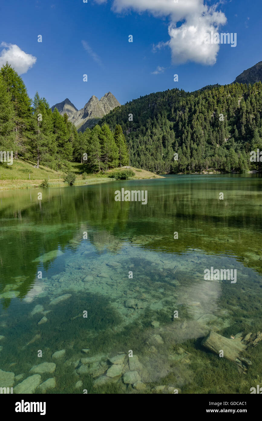 Natura,Landscape,Lago,lago di montagna,l'acqua,pietre,rocce,Svizzera,Tree,alberi,l'estate,Cloud,Palpuognasee,Grigioni Foto Stock
