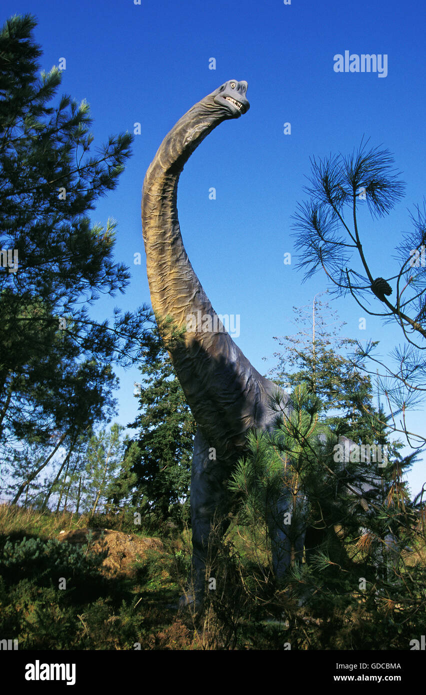 Brachiosaurus, gigantesche Sauropod dinosauro erbivoro durante il Giurassico Foto Stock