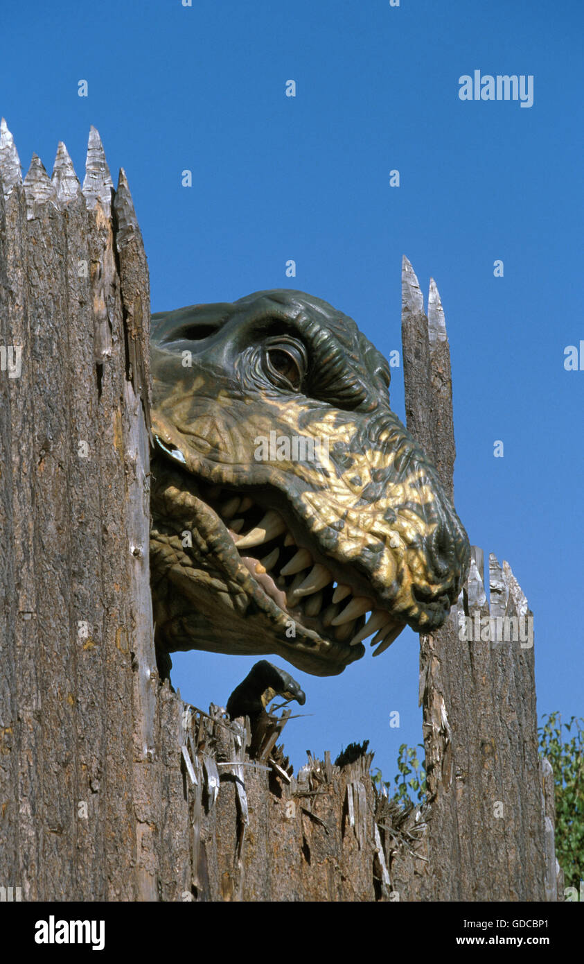 TYRANNOSAUR Tyrannosaurus rex, carnivoro THEROPOD DINOSAUR DALLA FINE DEL PERIODO CRETACEO IN AMERICA DEL NORD Foto Stock