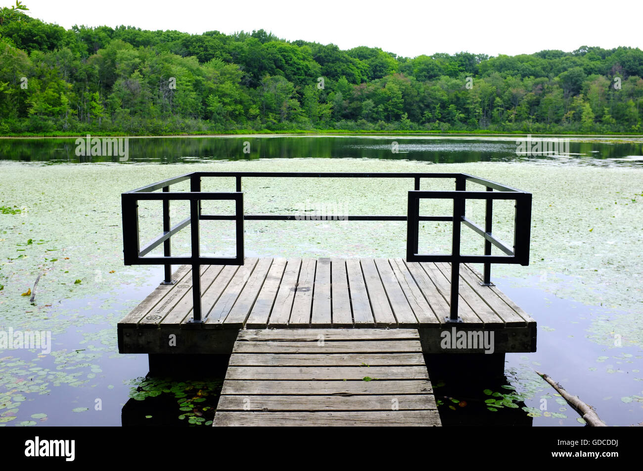 Un' osservazione sul bordo di un lago in un canadese Riserva naturale nella città di Londra, Ontario. Foto Stock