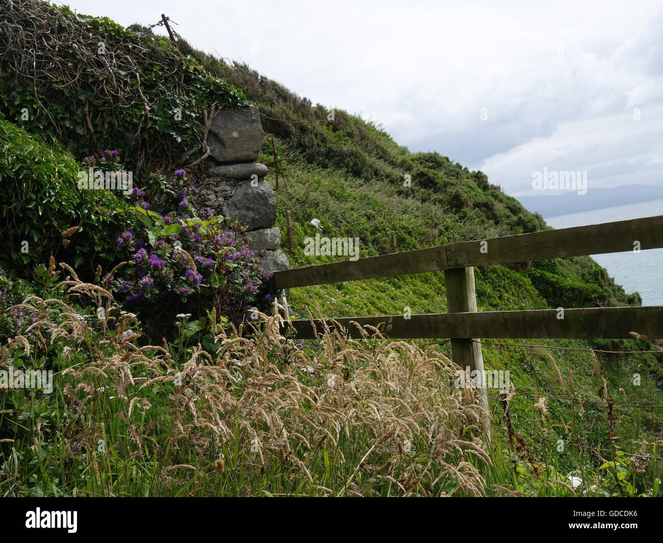 Un recinto in una fattoria Foto Stock