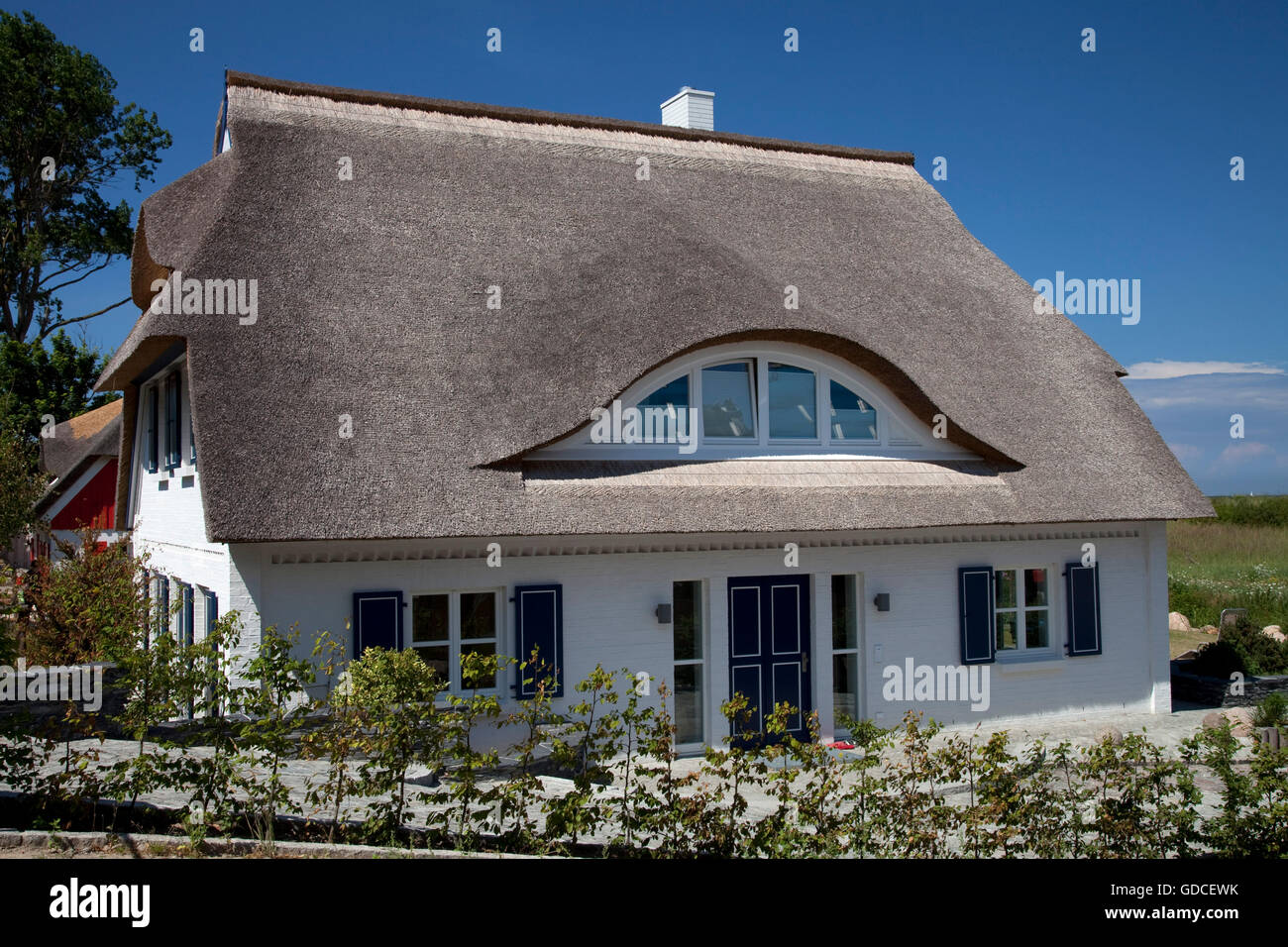 Casa di paglia, Mar Baltico località di Ahrenshoop, Fischland, Meclemburgo-Pomerania Occidentale Foto Stock