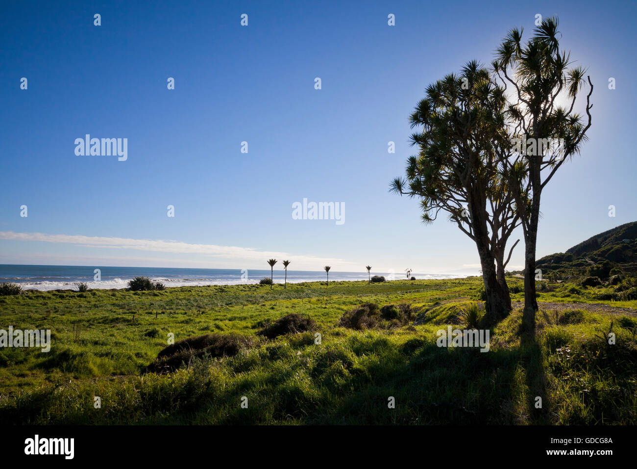 West Coast Beach, Isola del Sud, Nuova Zelanda Foto Stock