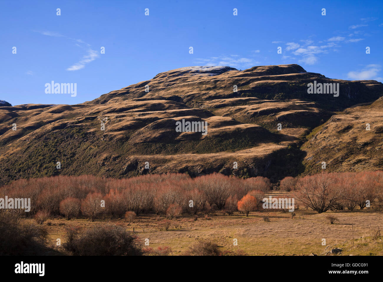 Isola del Sud lo scenario paesaggistico di Central Otago, Nuova Zelanda Foto Stock