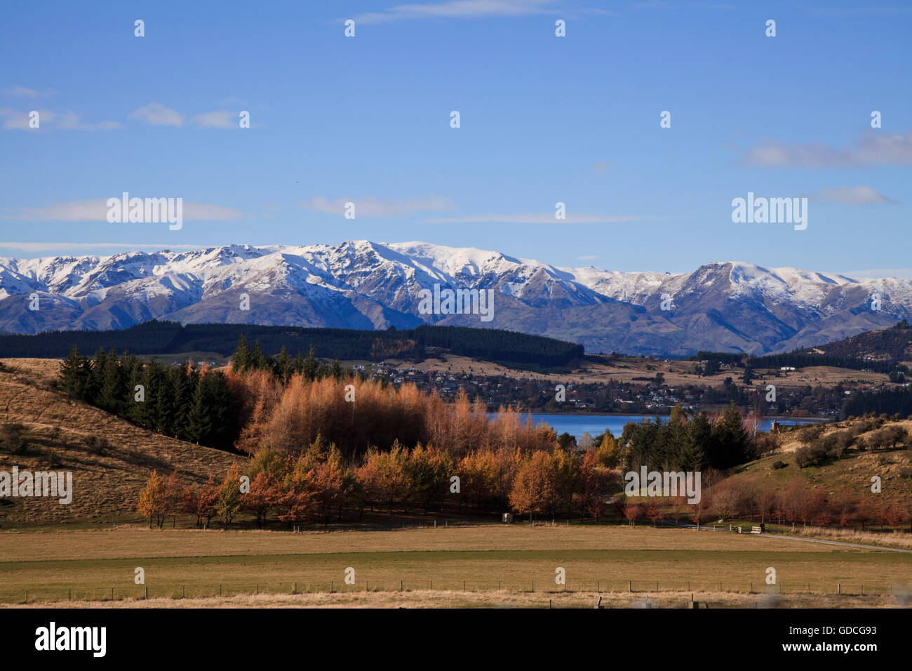 Wanaka paesaggio paesaggio, Isola del Sud, Nuova Zelanda Foto Stock