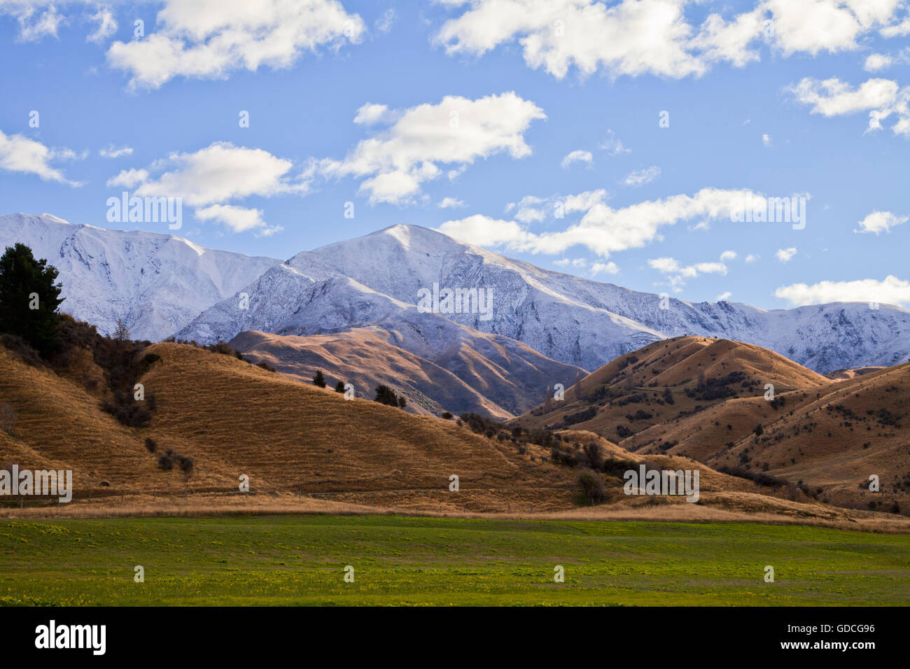 Isola del Sud paesaggio di montagna Paesaggi con un campo di erba in primo piano di Central Otago, Nuova Zelanda Foto Stock