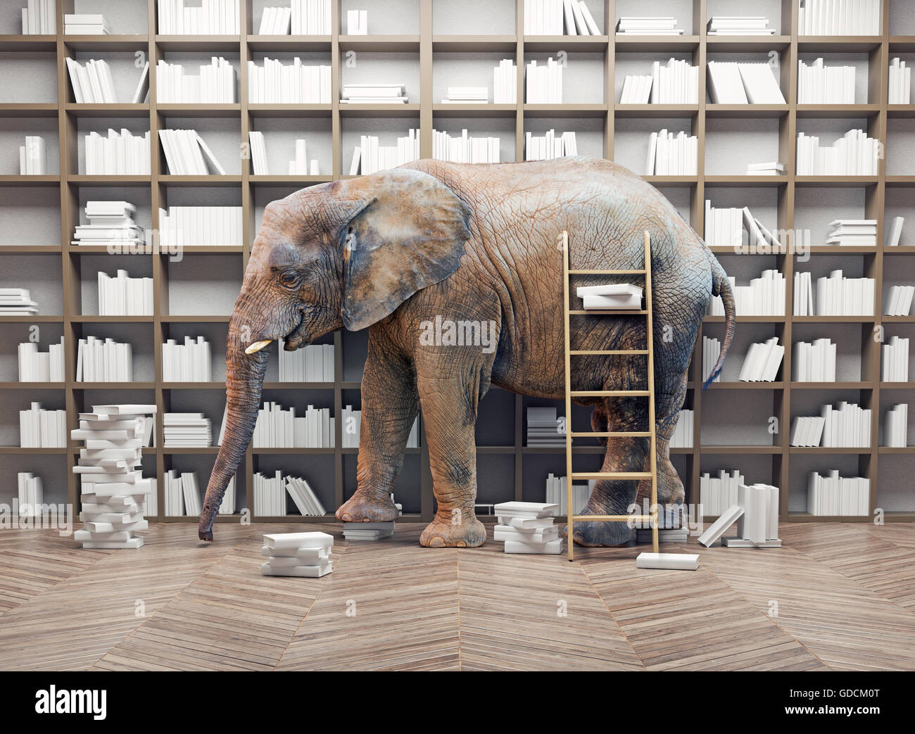 Un elefante in camera con libro scaffali. Concetto creativo Foto Stock
