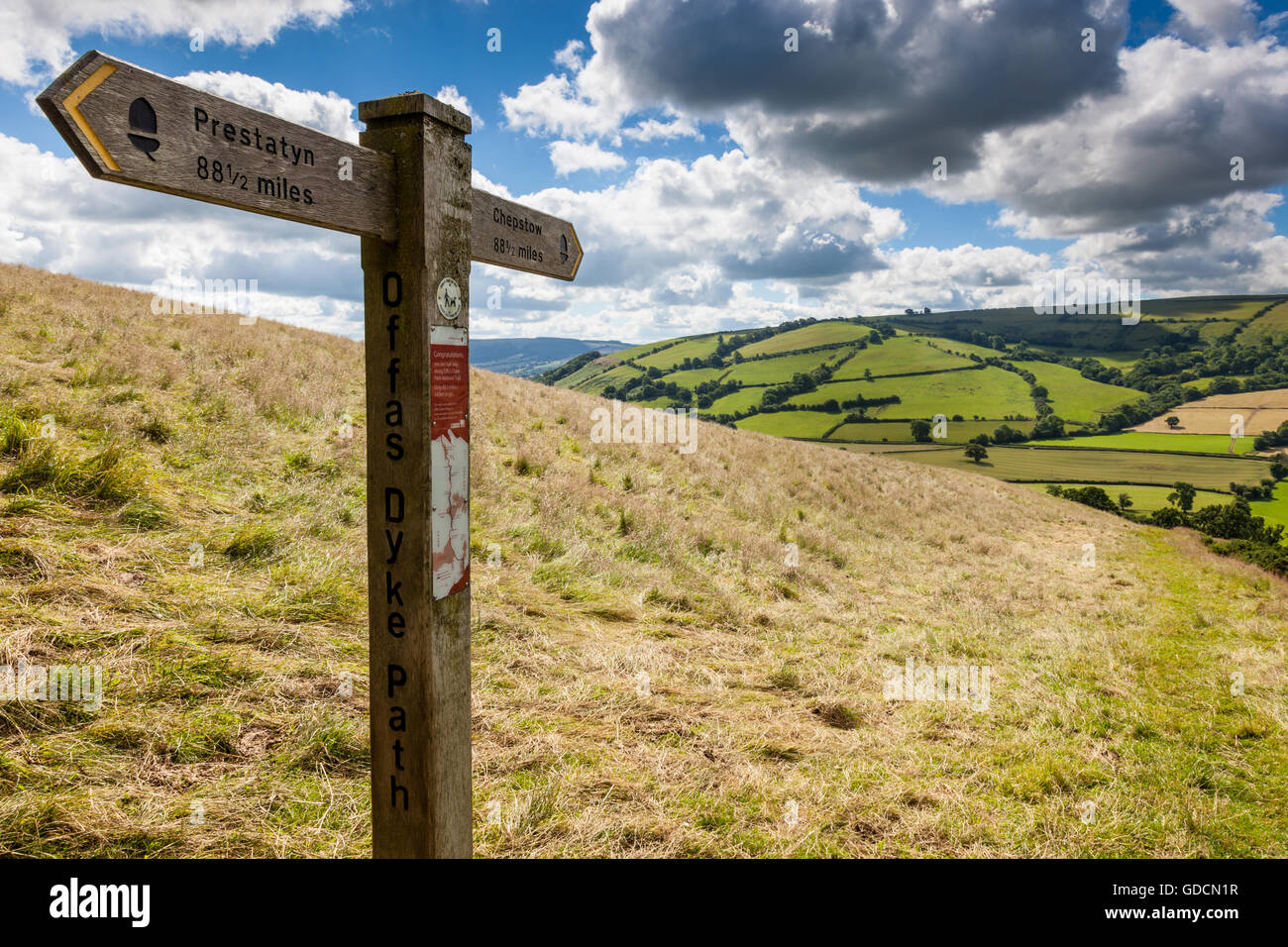 La Valle di Clun visto da a metà strada lungo la Offa's Dyke National Trail nei pressi di Newcastle on Clun, Shropshire, Inghilterra Foto Stock