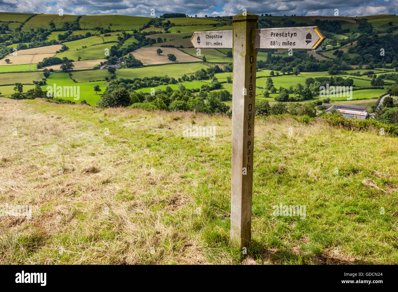 Il punto centrale del sentiero nazionale Offa's Dyke vicino a Newcastle su Clun, Shropshire, EnglandNational Trail Foto Stock