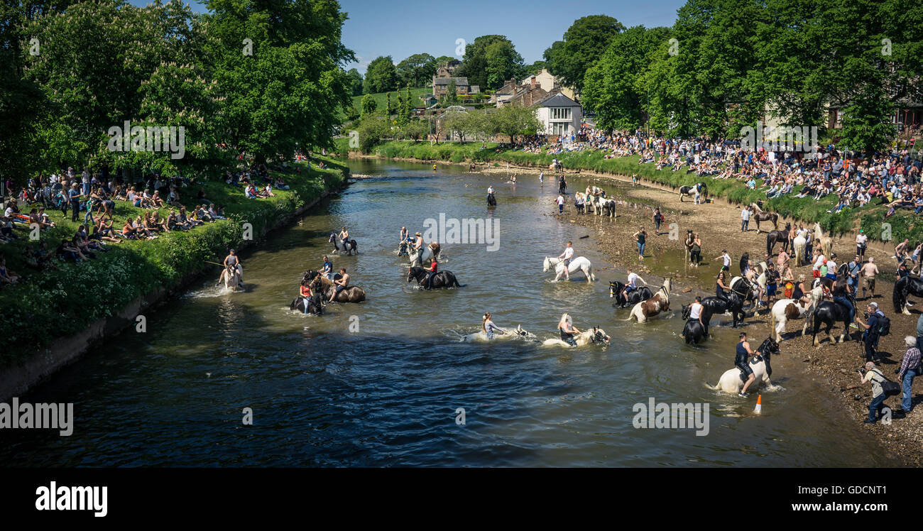 I cavalli di essere prese in considerazione per un dispositivo di compressione nel fiume e un pulito a Appleby Horse Fair in Cumbria Foto Stock