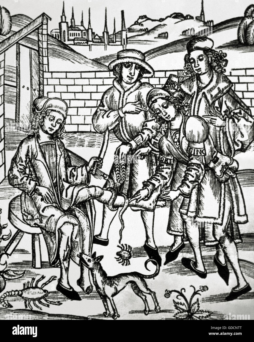 La medicina. Xv secolo. Un uomo è indurito a causa della Leda causati da animali pericolosi: un cane rabbioso, uno scorpione e un serpente. Xilografia in 'Dies ist das buch der chirurgia" (questo è il libro della chirurgia). Foto Stock