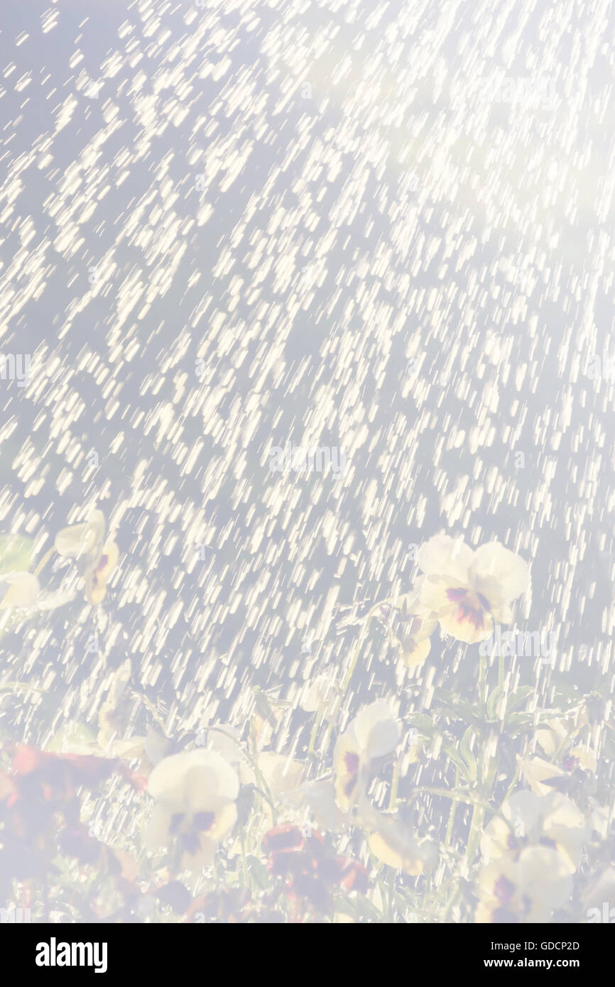 Sunny rainbow getti d'acqua, sfondo astratto Foto Stock