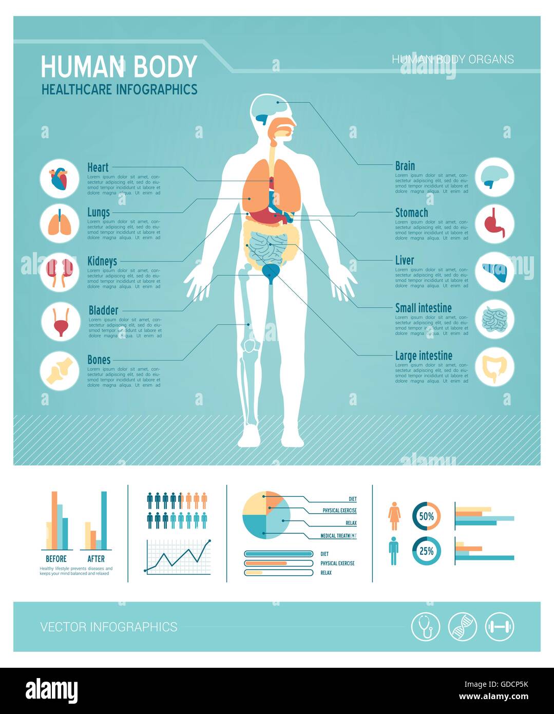Il corpo umano health care infographics, con icone di medici, organi, grafici diagarms e spazio di copia Illustrazione Vettoriale