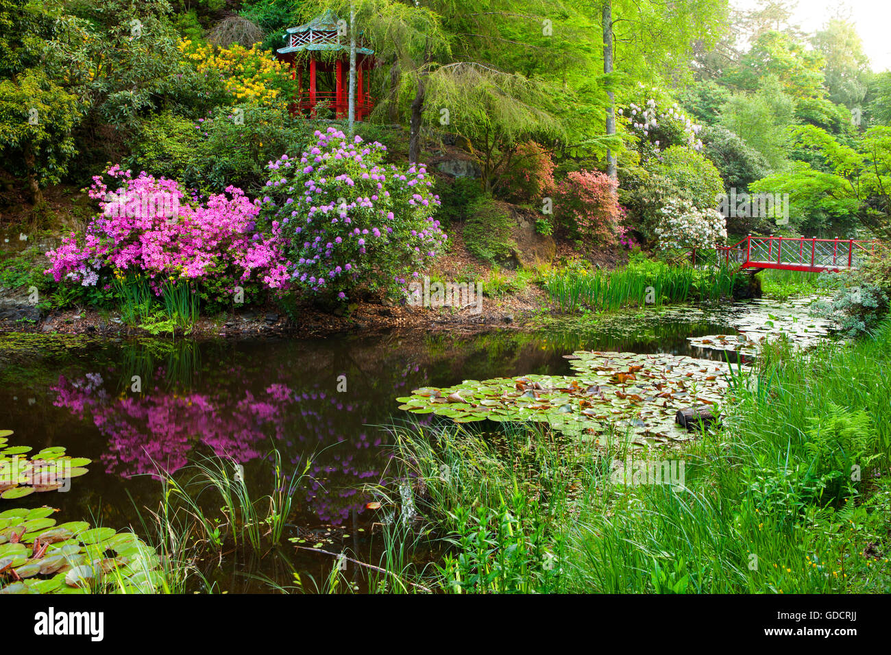 Portmeirion Gardens - l'Susan Williams-Ellis Pagoda affacciato sul lago cinese. Portmeirion, Gwynedd, il Galles del Nord Foto Stock