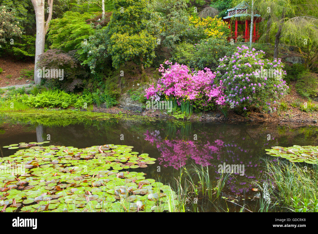 Portmeirion Gardens - l'Susan Williams-Ellis Pagoda affacciato sul lago cinese. Portmeirion, Gwynedd, il Galles del Nord Foto Stock
