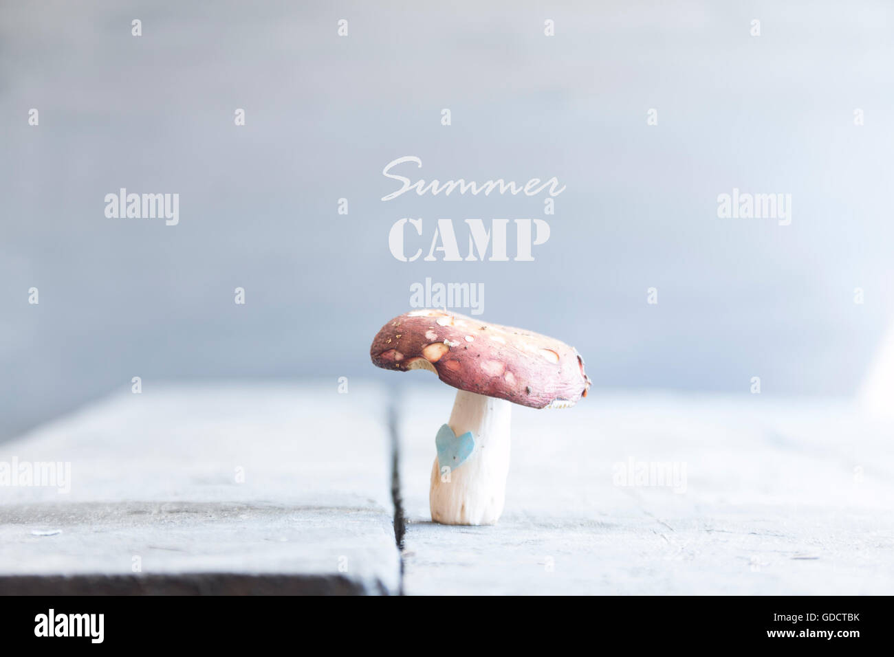 Summer Camp idea Foto Stock
