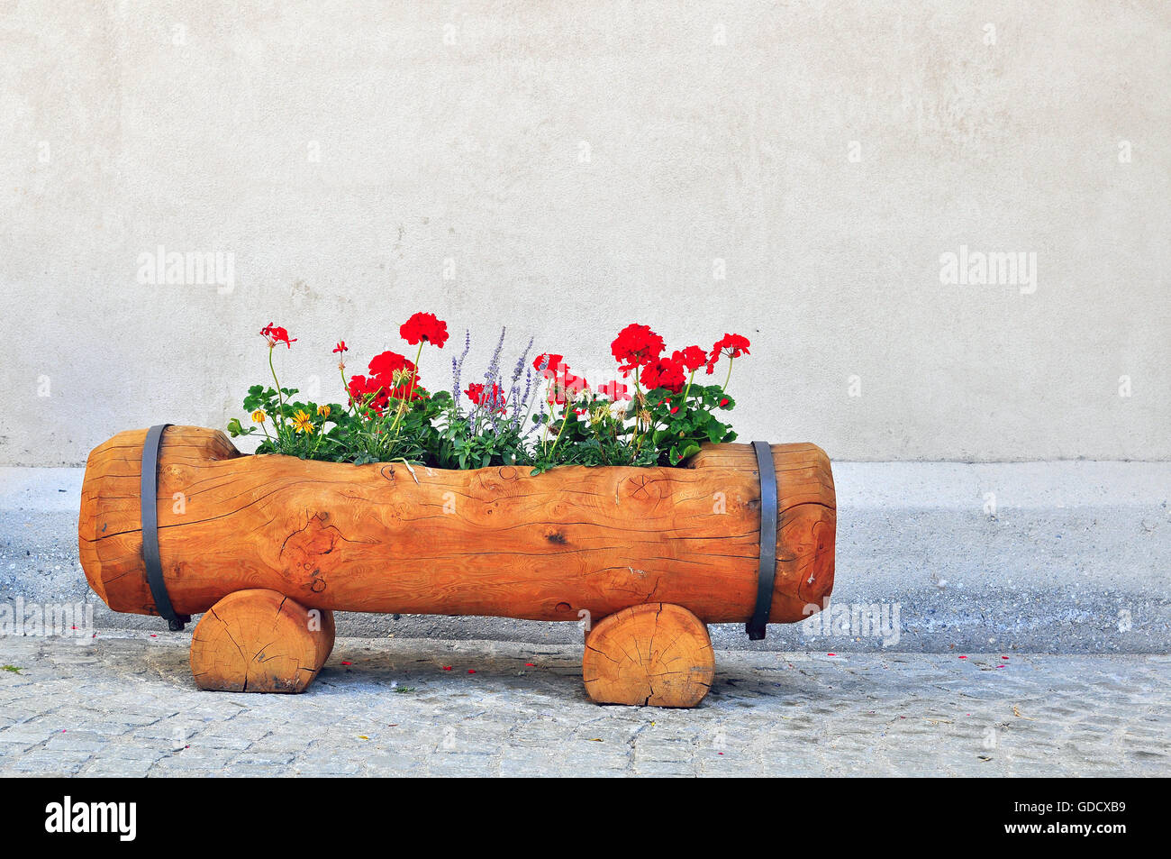 Aiuola di fiori in strada Foto Stock