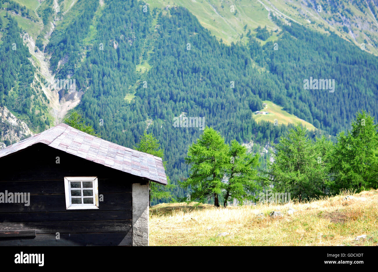 Nero cabina in legno in montagna Foto Stock